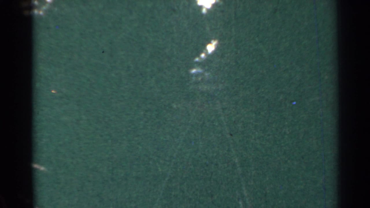 Dark green textured surface with bright tree-filtered light near the top edge.