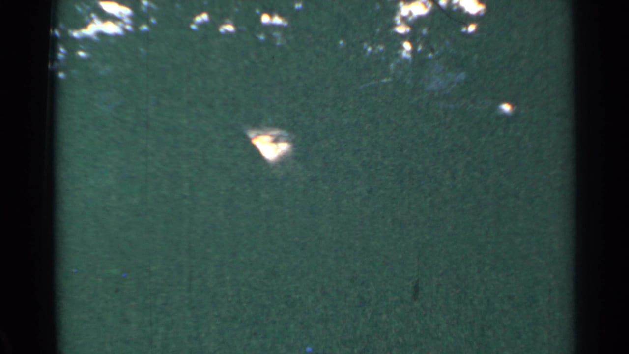A muted 1953 Connecticut 8mm frame shows green texture, vertical dark bands, and small bright patches of filtered light.