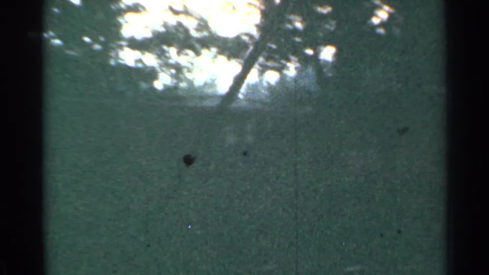 Grainy 8mm view from 1953 Connecticut with a blurred green field, tree silhouettes, bright sky, and visible frame edge.