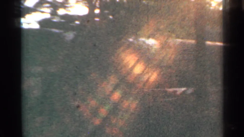 1953 Connecticut 8mm frame with soft trees, green tones, orange lens flare, heavy grain, and dark film-edge borders.