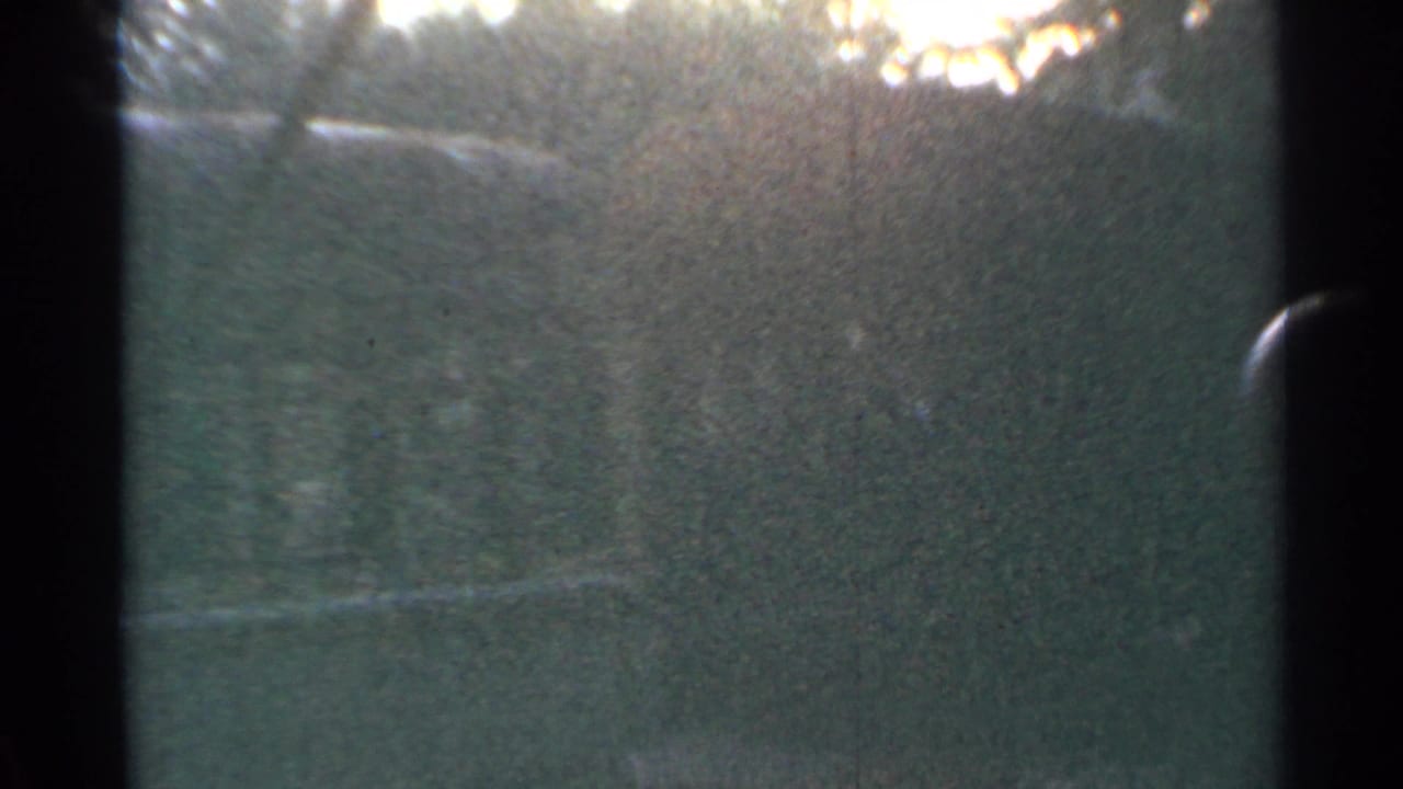 Dark train-window view with blurred greenery and bright reflected light near the top.