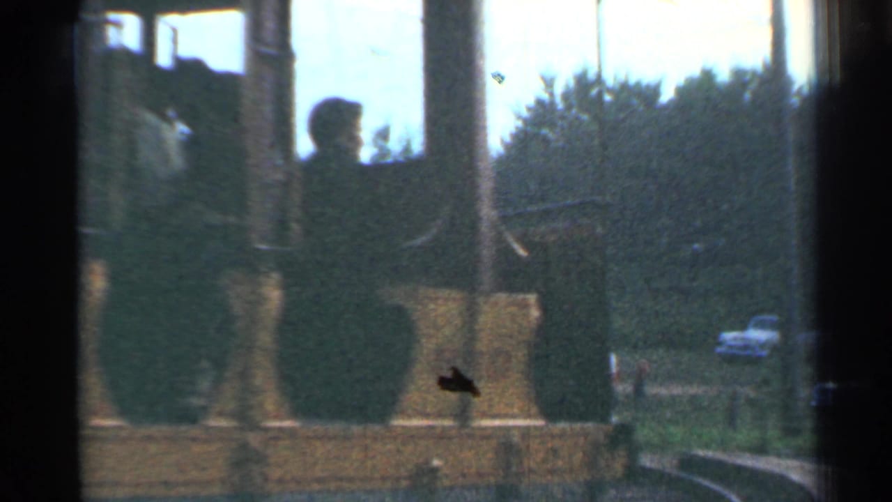 A trolley with passengers visible through windows moves near shrubs and a roadside car.