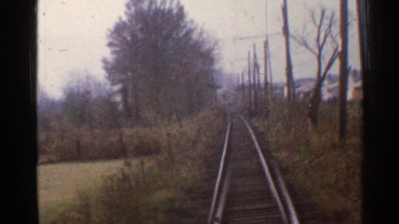 Railroad tracks recede through a wooded rural corridor with utility poles beside the line.