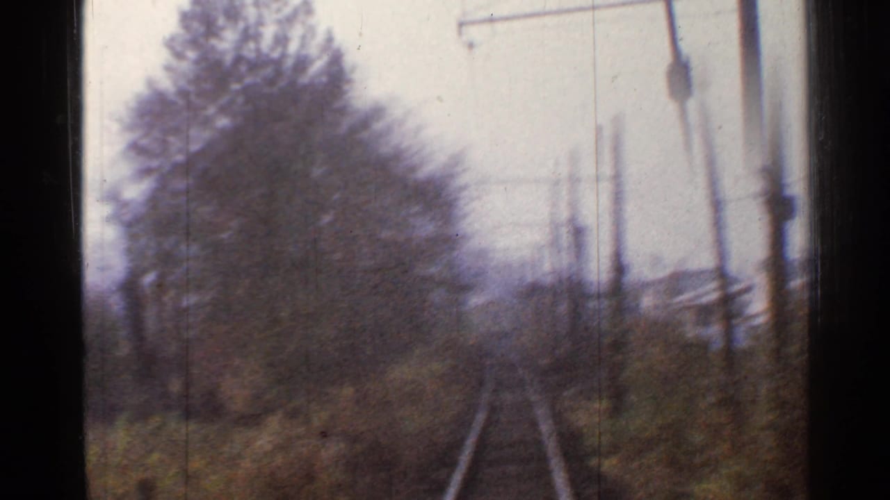 Curving railroad tracks pass through brush and trees with overhead wires on the right.