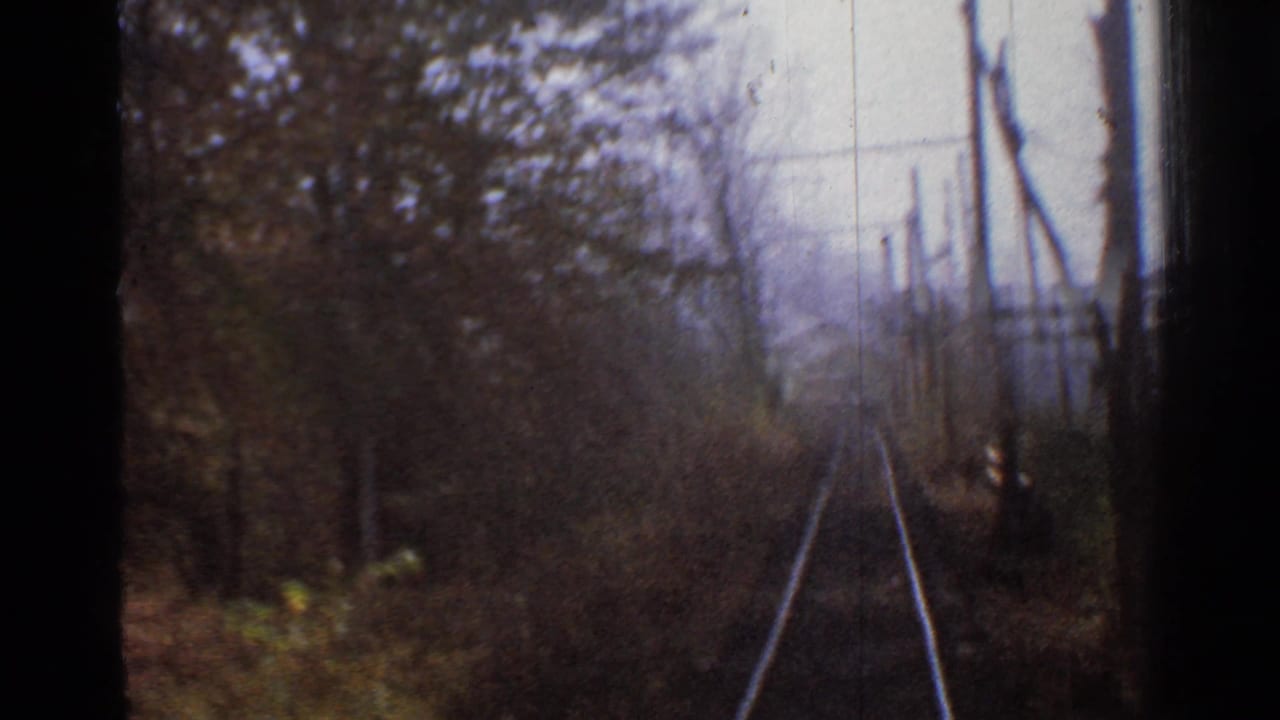 Forward view down railway tracks bordered by trees and utility poles.
