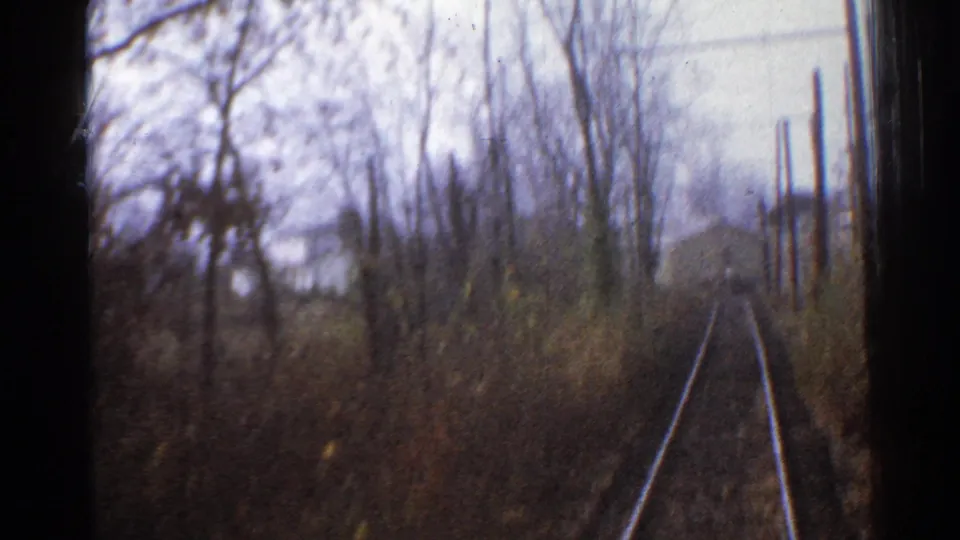 1953 Connecticut rail POV with tracks running between wooded growth, leafless trees, and a line of utility poles.