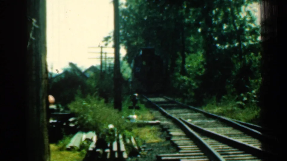 A 1953 Connecticut home-movie view of an older railway track, with wooden ties, rails, thick vegetation, trees, utility poles, and a dark distant rail shape.