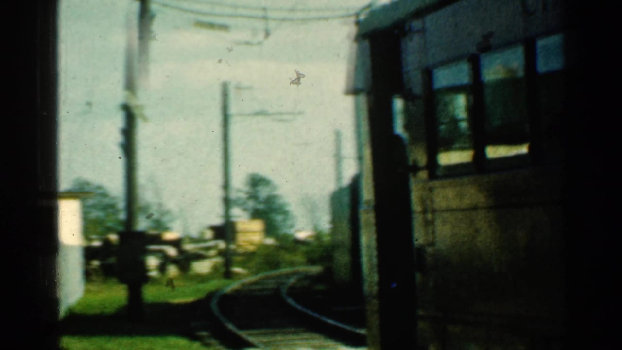 Trolley tracks curve past utility poles and greenery in strong daylight.