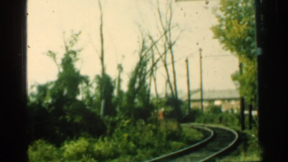 1953 Connecticut 8mm frame with curved rails, dense vegetation, utility poles, and the trolley partly visible at the side.