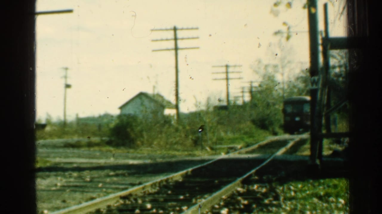 Rural Connecticut rail crossing with an approaching train at right, utility poles, overgrown vegetation, and a small house beyond the tracks.