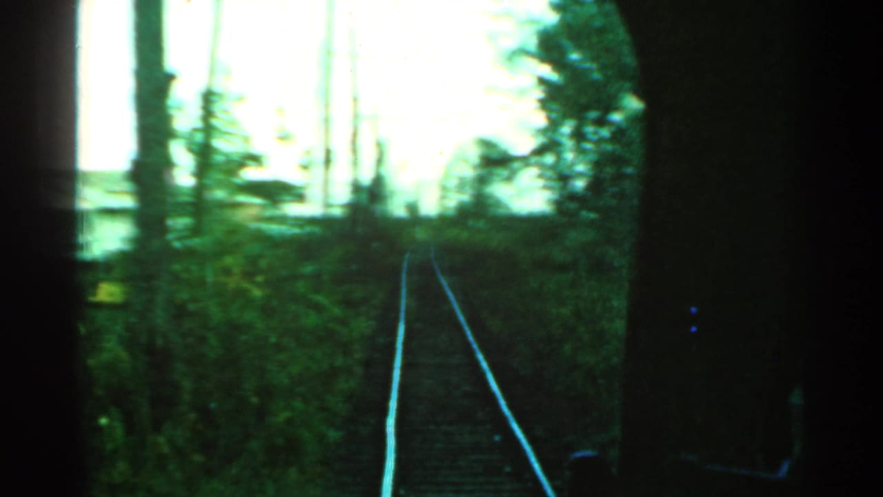 Connecticut train-window view from 1953 showing rails ahead through green foliage and tall tree trunks under overexposed sky.