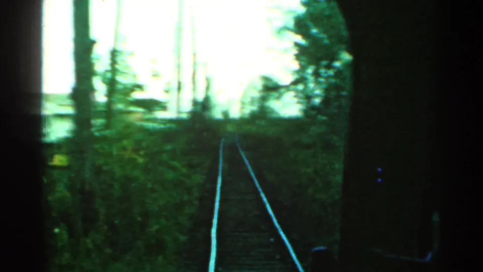 Connecticut train-window view from 1953 showing rails ahead through green foliage and tall tree trunks under overexposed sky.