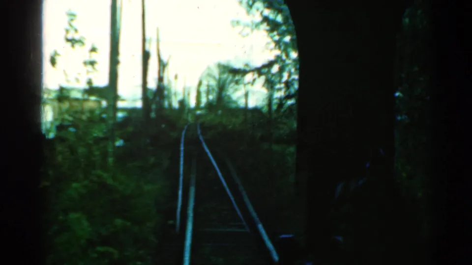 Final 1953 Connecticut train-window frame with rails ahead, heavy green foliage, tall trunks, and dark 8mm border areas.