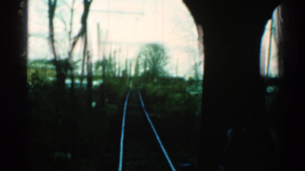 Rail tracks curve through a wooded corridor with utility poles and dark window framing.