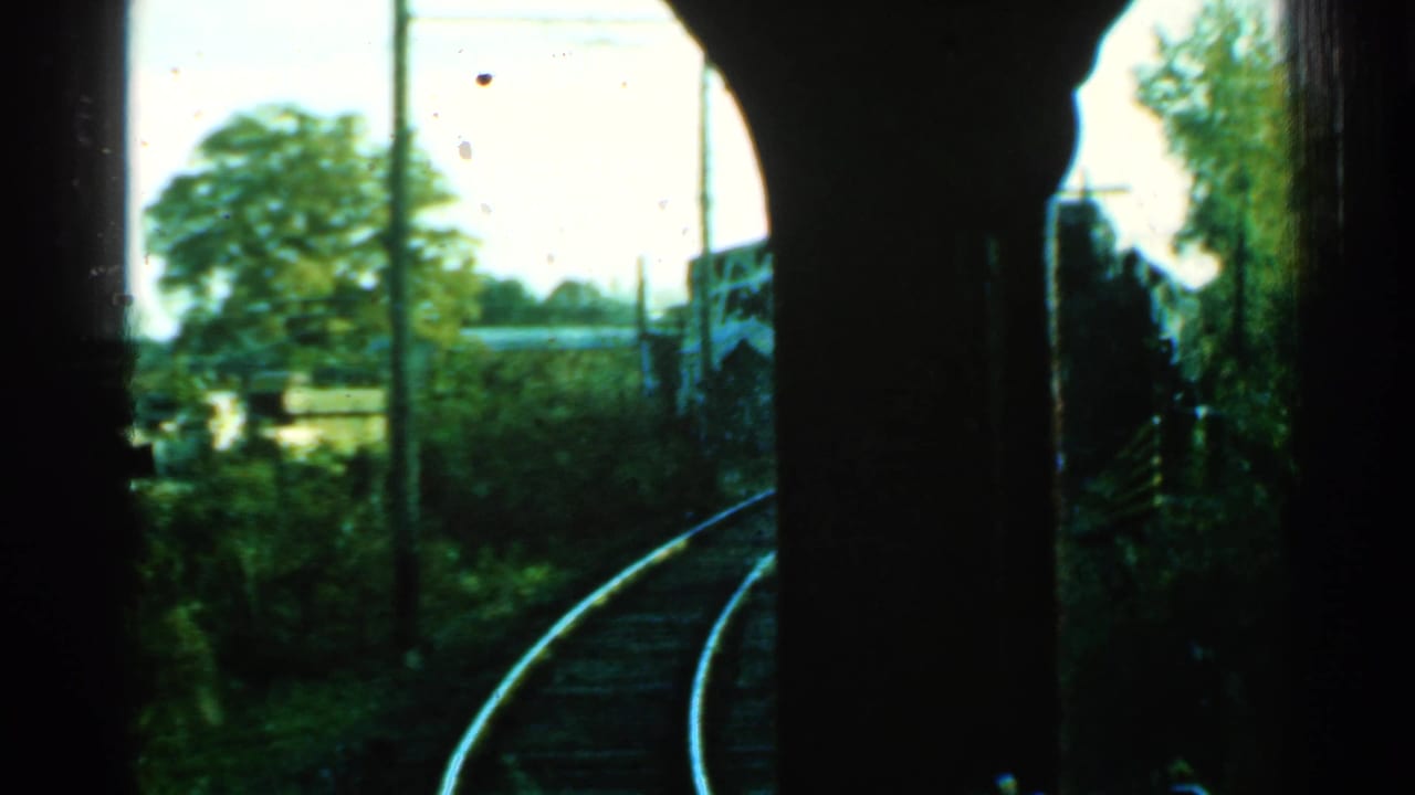 Curving railroad tracks seen from inside a moving train with trees and poles alongside.