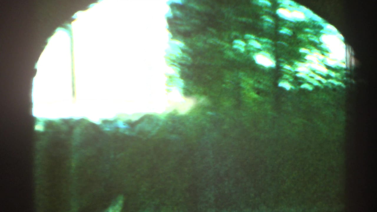 Bright overexposed view along a wooded rail line with trackside shadows.