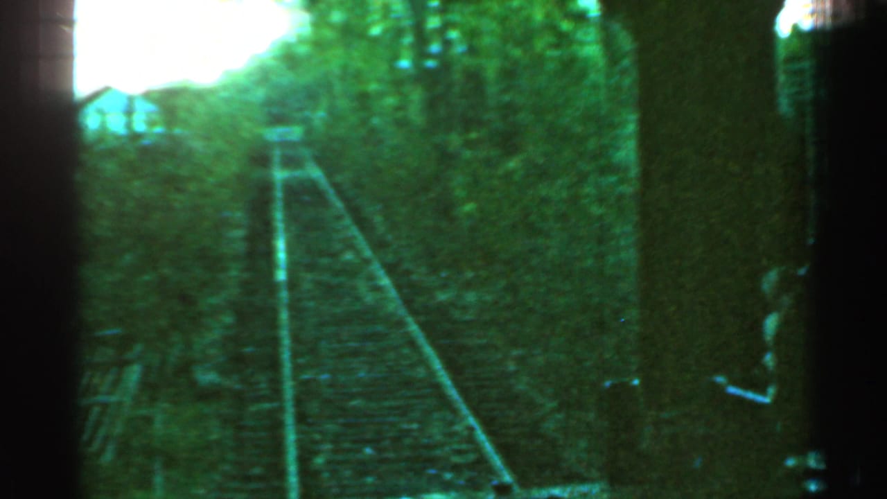 Forward view along railroad tracks through dense trees from a moving train.
