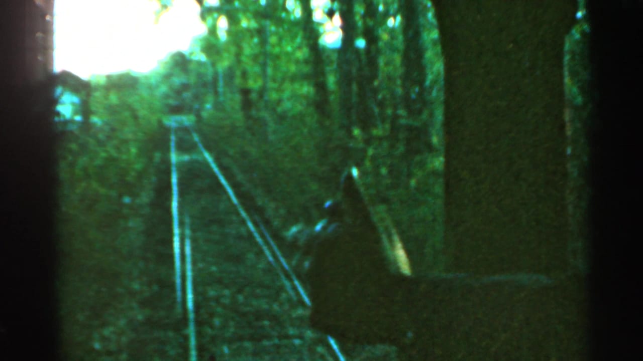 Railroad tracks curve through trees with a dark foreground edge and partial figure at right.