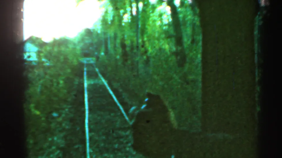 The 1953 Connecticut home-movie frame shows tracks through trees, green film color, and a hand or arm entering the lower right foreground.