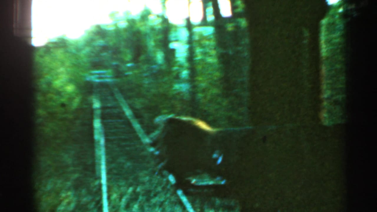 Forward-looking Connecticut rail footage shows tracks in a wooded corridor and a dark foreground shape near the right side.
