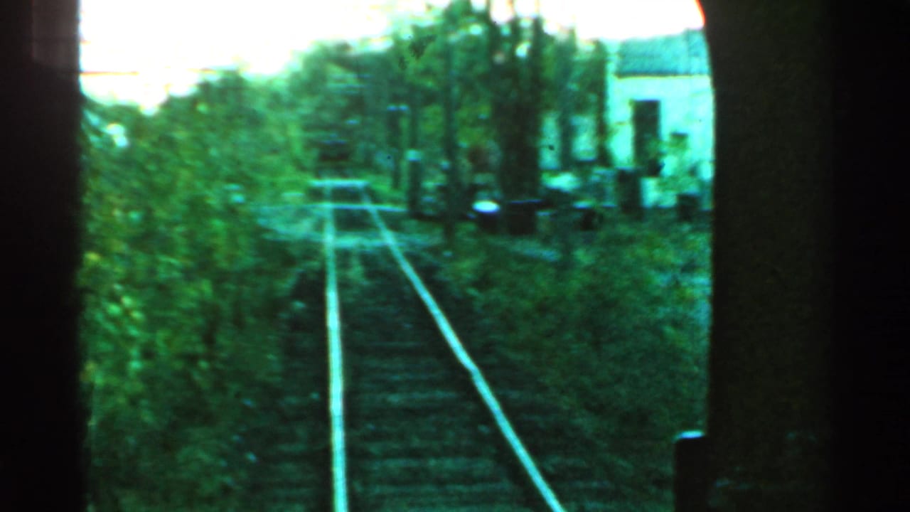 Forward view along rail tracks through green trackside vegetation.