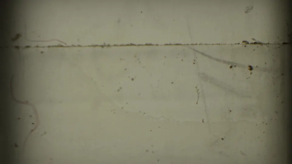 End frame from the 8mm scan showing pale exposed film, dust, scratches, and darkened frame edges rather than a visible subject.