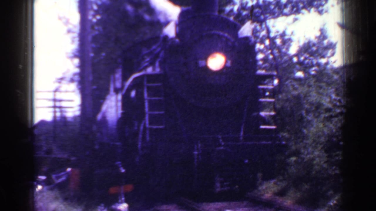 Steam locomotive approaches on wooded tracks with a bright headlight and dark frame edges.