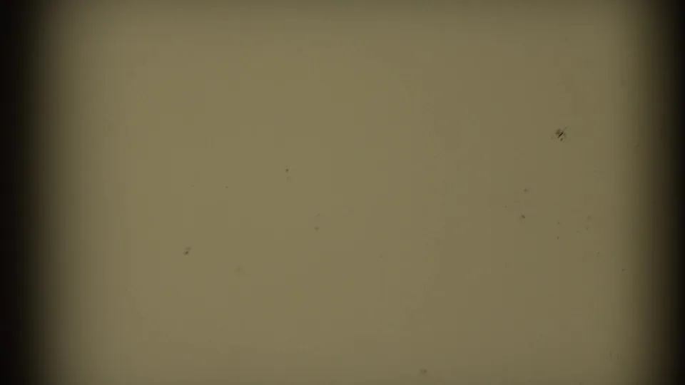 Final 1953 Connecticut 8mm frame appears blank and yellowed, with scattered dust, minor scratches, and a dark film border at left.