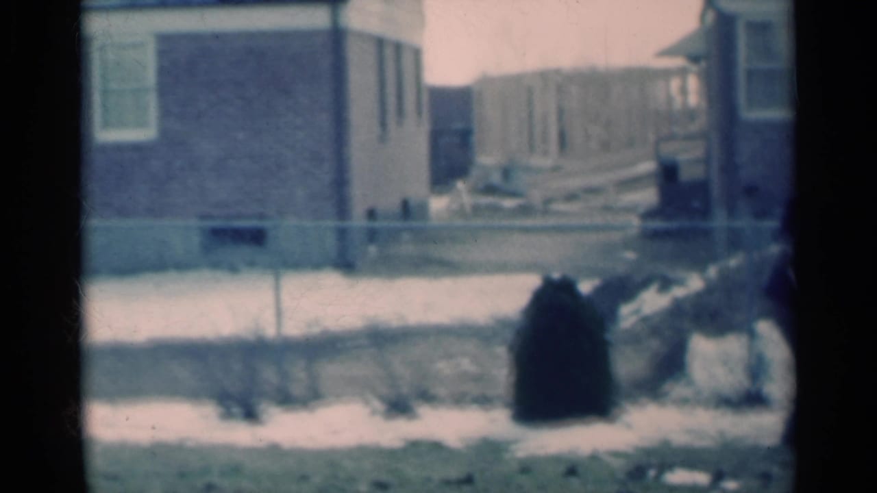 A dark-clothed man appears near low shrubs in a snowy Michigan residential yard, with brick houses and a chain-link fence behind him.