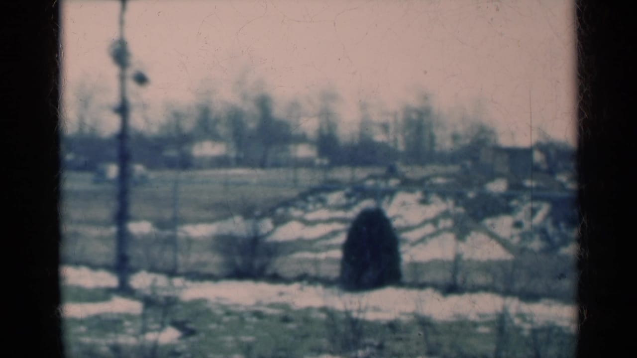 1939 Michigan home-movie frame showing a snowy field, a vertical pole, bare trees, distant houses, and soft 8mm grain.
