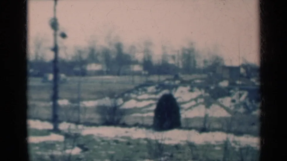 1939 Michigan home-movie frame showing a snowy field, a vertical pole, bare trees, distant houses, and soft 8mm grain.