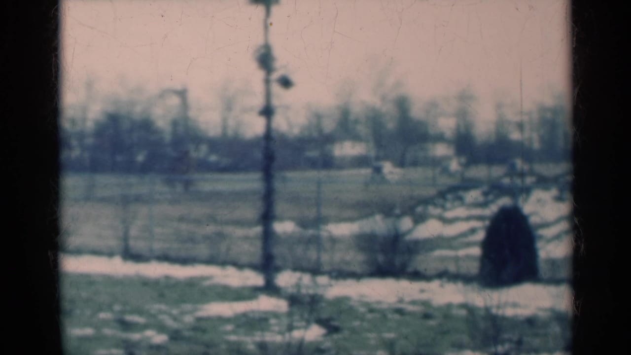 Field with snow patches, utility pole, distant tree line, and dark rounded shape at right.