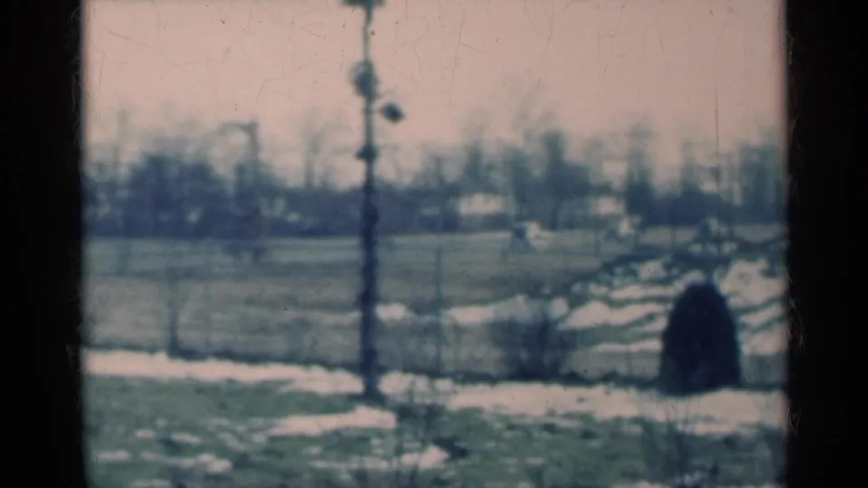 1939 Michigan countryside frame showing a utility pole over a snow-dappled field, with bare trees and a dark rounded form near the right edge.