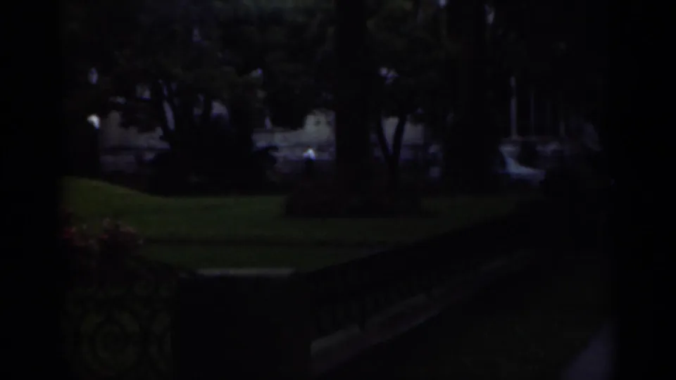 Underexposed 1949 New Orleans park footage shows trees, lawn, flowers, and an ornate railing emerging from shadow.