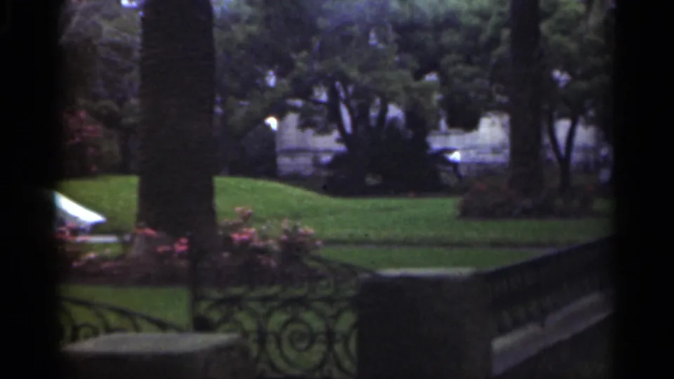 1949 New Orleans garden scene with a clipped lawn, trees, pink flowers, stone steps, and decorative iron railing.