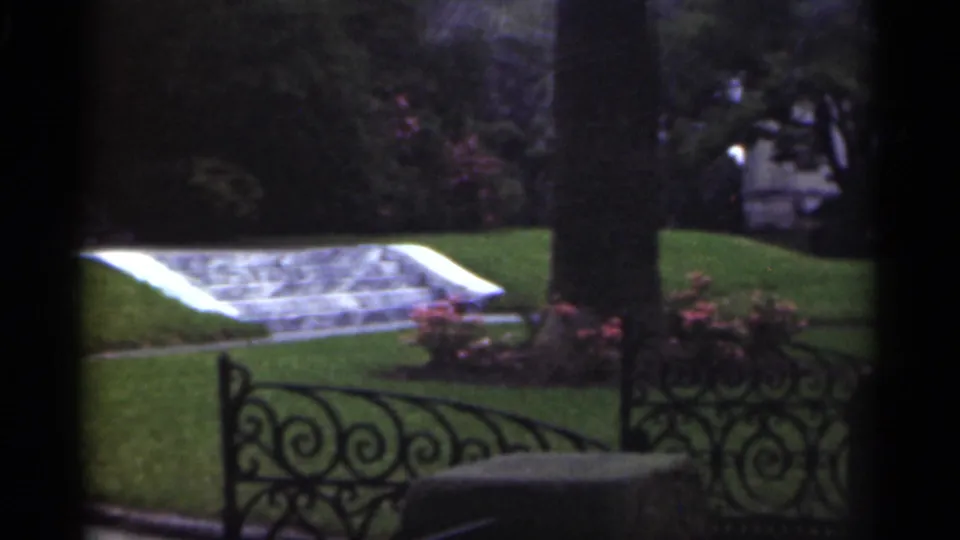 Mid-century 8mm frame from New Orleans showing stone steps beside a lawn, tree trunk, flowers, and ironwork.