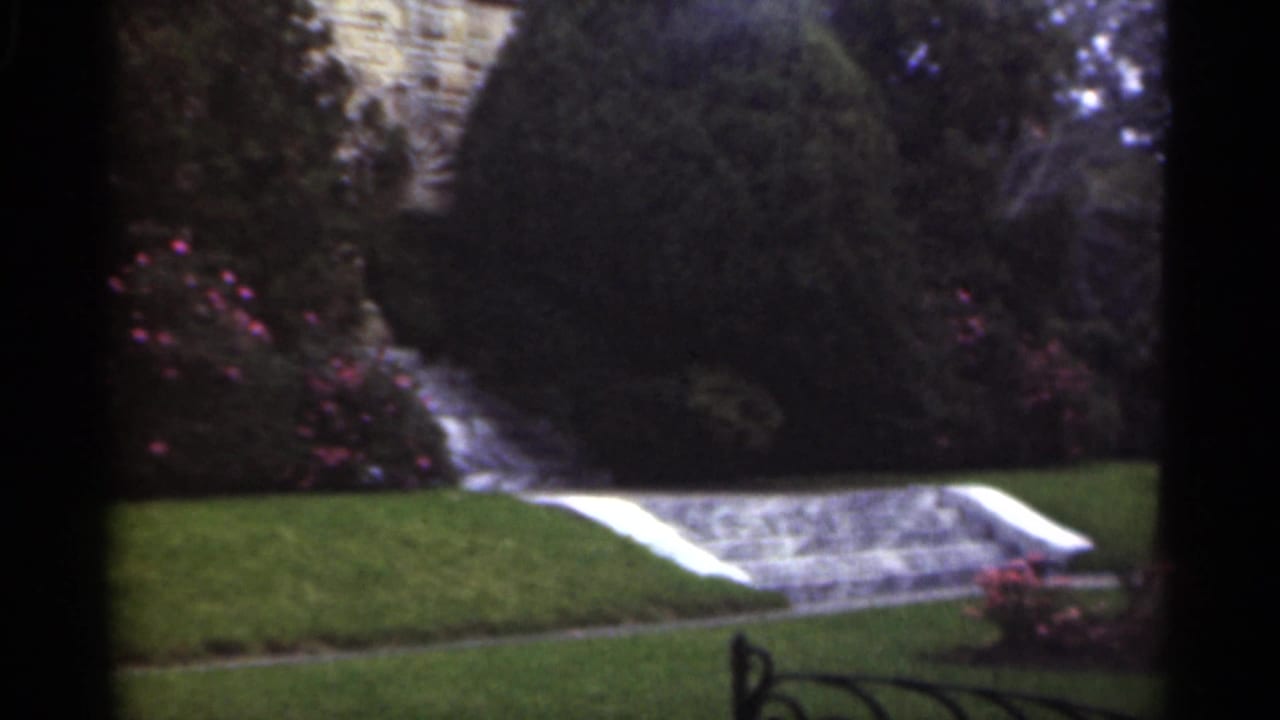 1949 New Orleans garden view with green lawn, stone walkway, pink flowering shrubs, clipped evergreens, and a wall in soft 8mm color.
