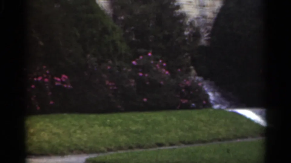 1949 New Orleans garden frame showing lawn, pink flowers, dense shrubs, stone edging, and a pale walkway at the right edge.