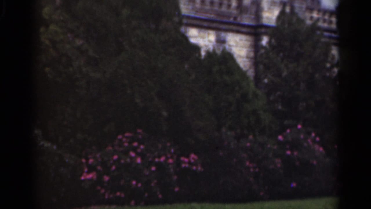 1949 New Orleans home-movie frame showing a stone building behind evergreens, bushes, and pink flowering shrubs.