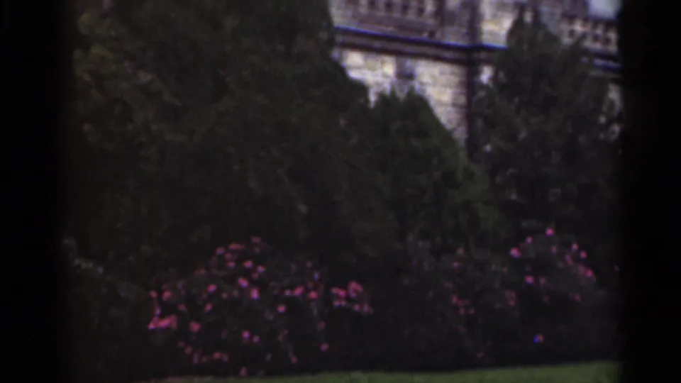 1949 New Orleans home-movie frame showing a stone building behind evergreens, bushes, and pink flowering shrubs.