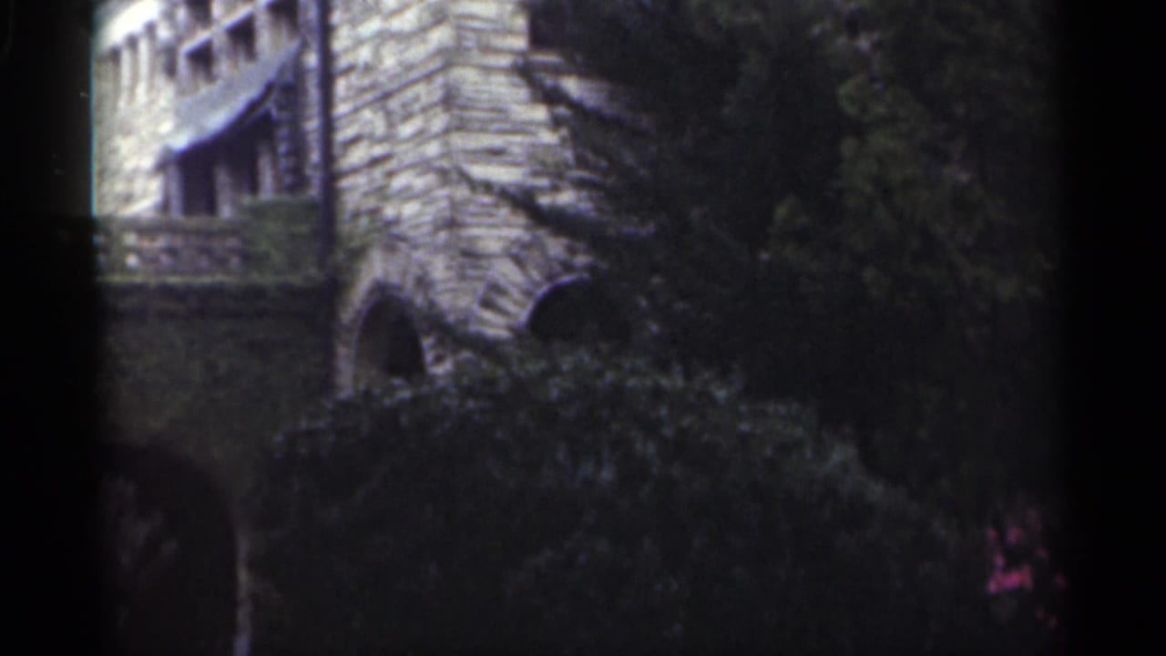 Stone building with arched openings partly hidden by dark bushes and trees.