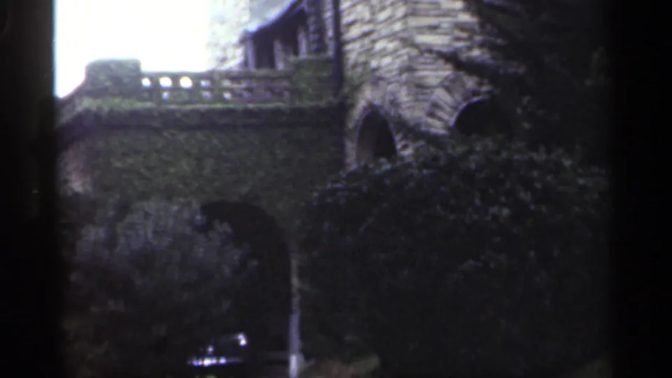 1949 New Orleans frame with masonry arches, ivy-covered wall surface, deep garden shadow, bushes, and a small bright object near the lower edge.