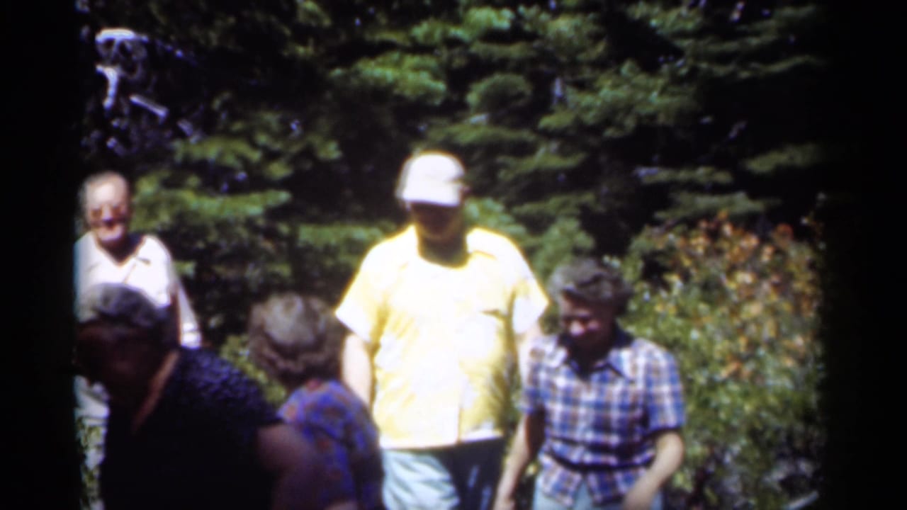 Adults walking in a sunlit wooded area, including a man in a yellow shirt and white cap.