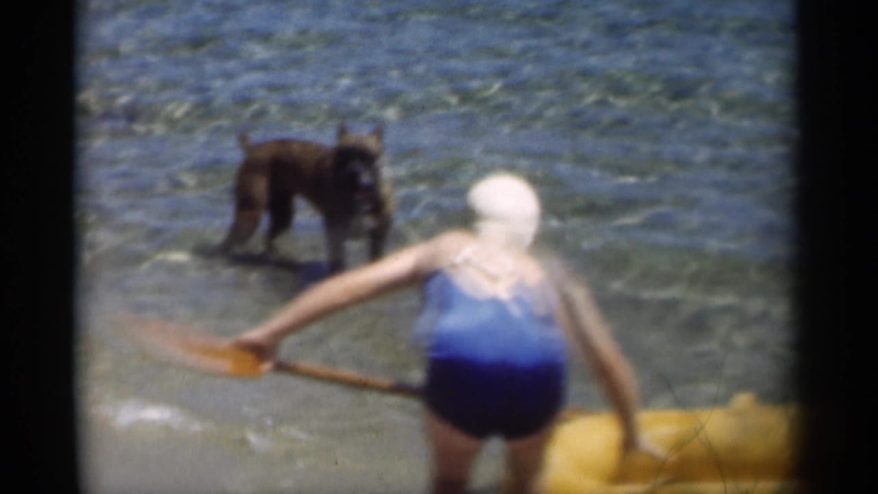Child in a blue swimsuit stands in shallow surf near a yellow inflatable toy and a brown dog.