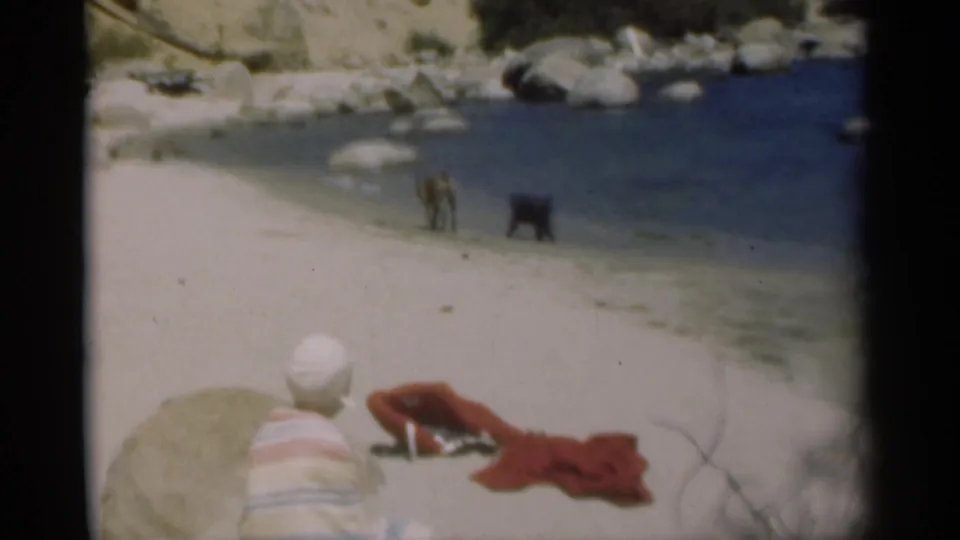 A seated girl in a cap and striped towel watches two dogs along the shoreline, with boulders behind the water.
