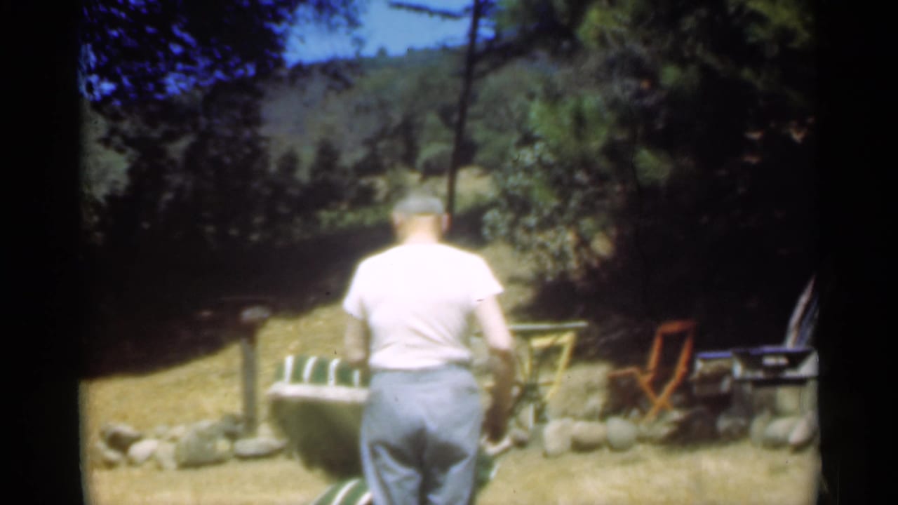 Man seen from behind near a striped lawn chair in a sunny yard.