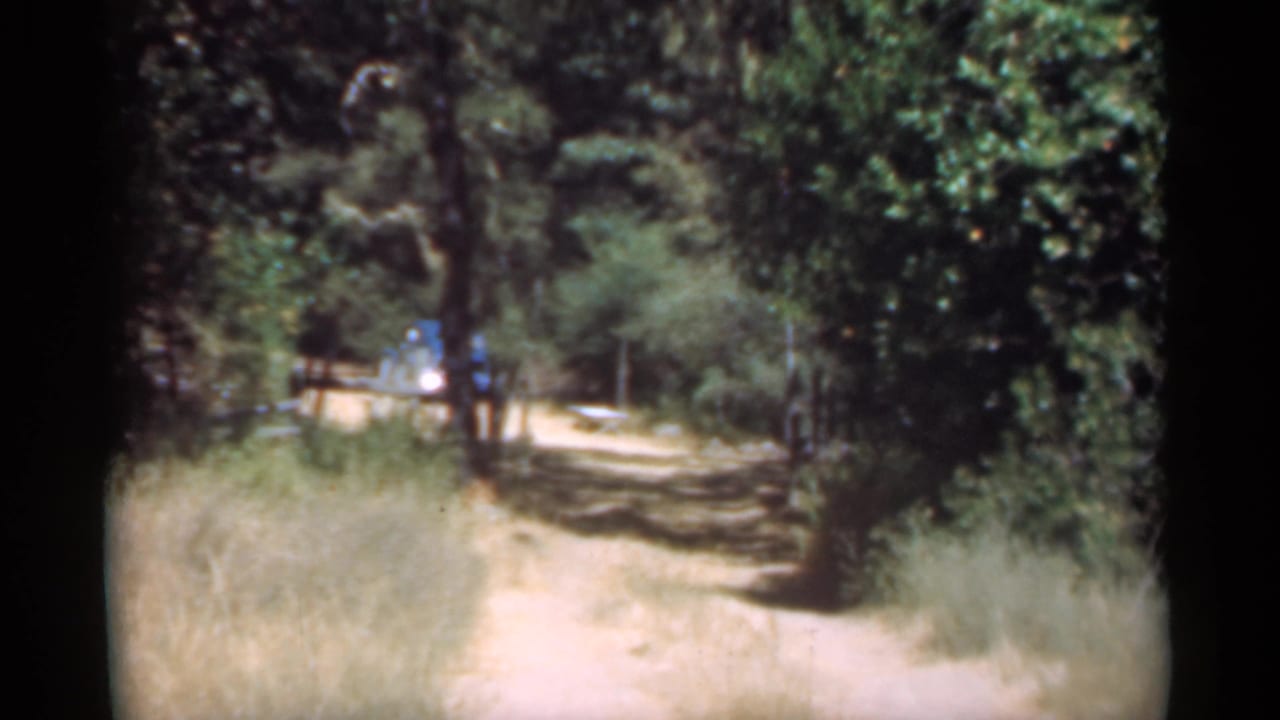 Sunlit dirt path curving through dense trees and dry grass.