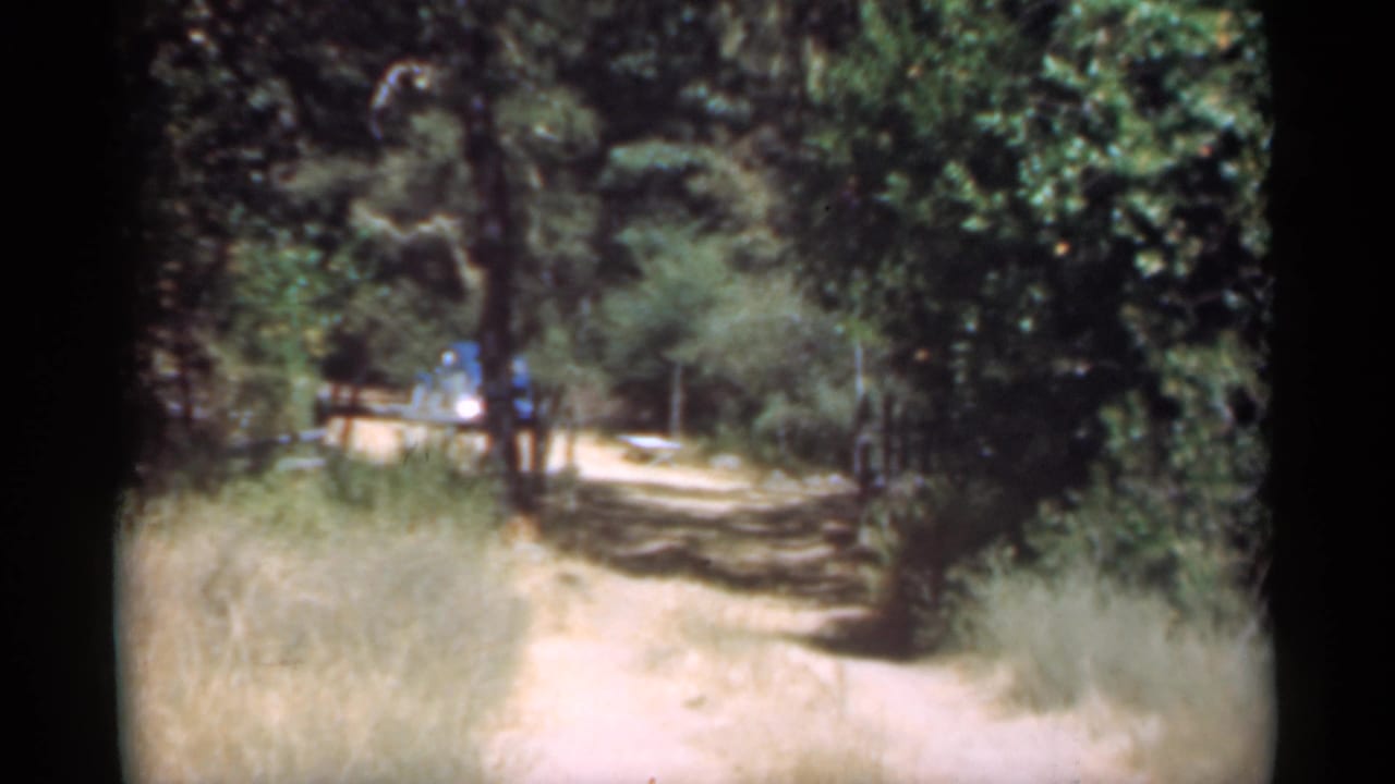 Wooded road scene from the supplied 1949 Santa Cruz home movie, with soft focus and dappled light.