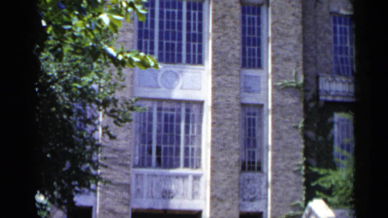 Ornate stone building facade partly framed by leafy branches and dark film edge.
