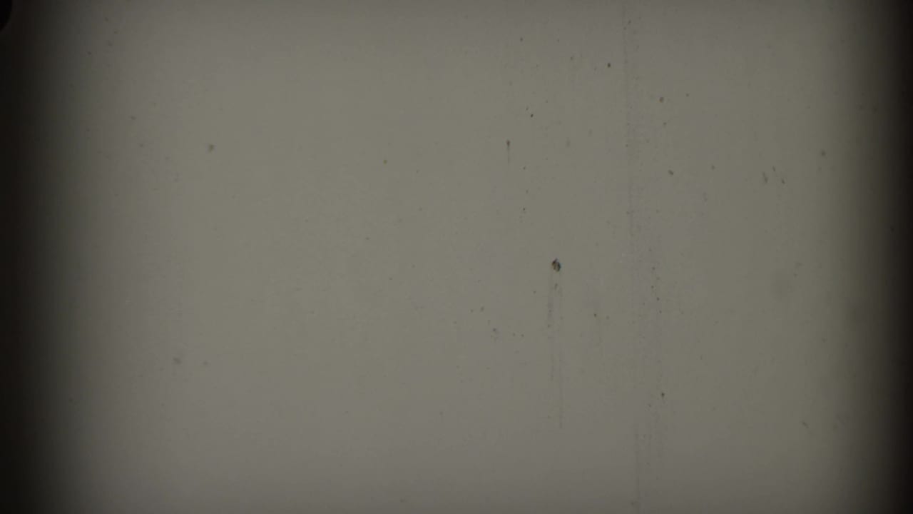 A transitional or blank portion of the 8mm scan shows muted exposure, dark frame edge, and minor dust specks.